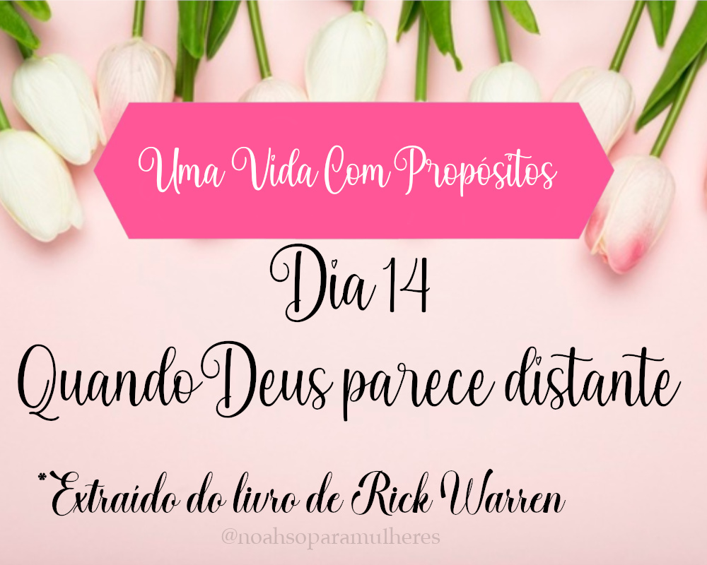 Imagem destaque post Dia 14 - Quando Deus parece distante