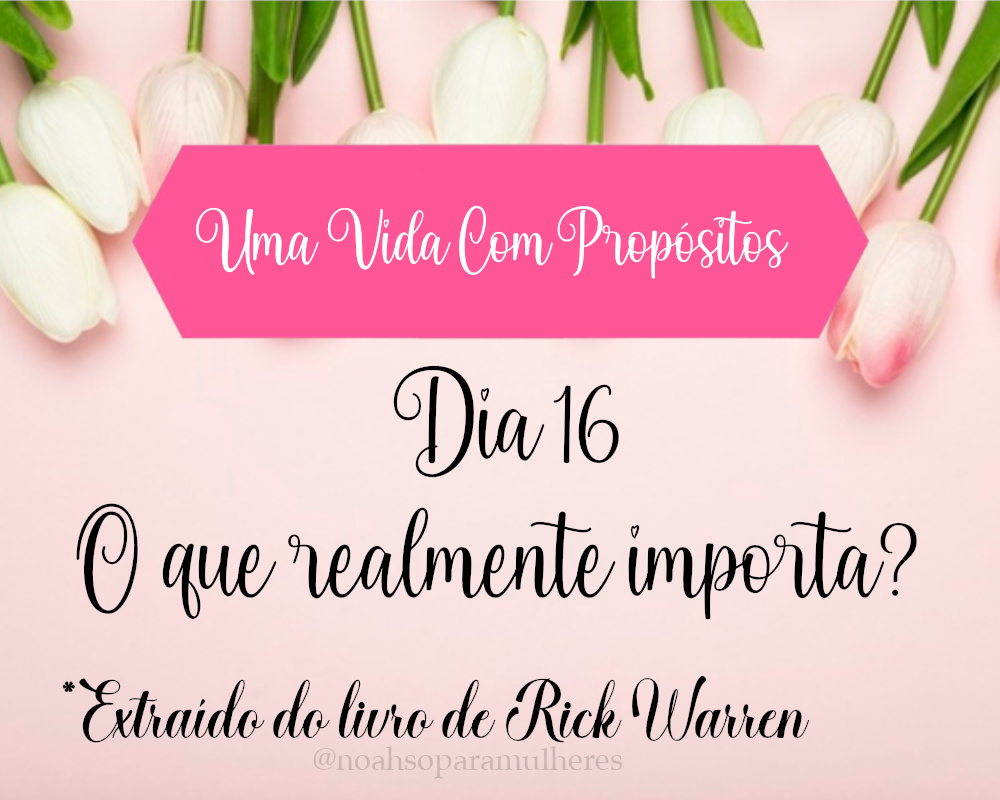 Imagem destaque post Dia 16 - O que realmente importa?