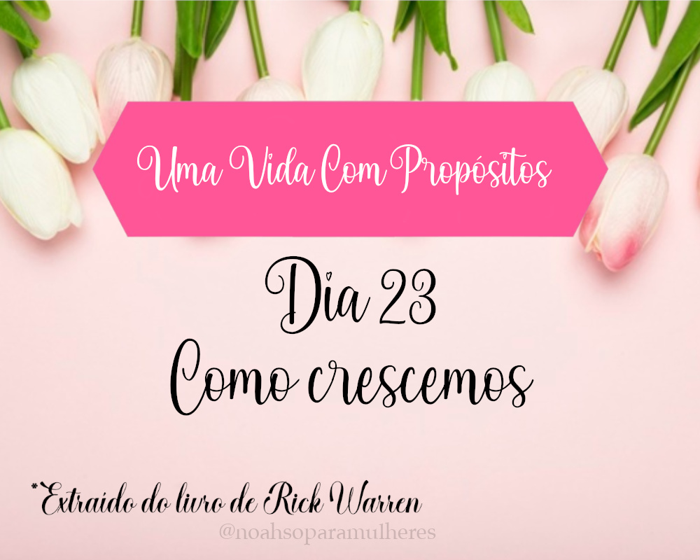 Imagem destaque post Dia 23 - Como Crescemos